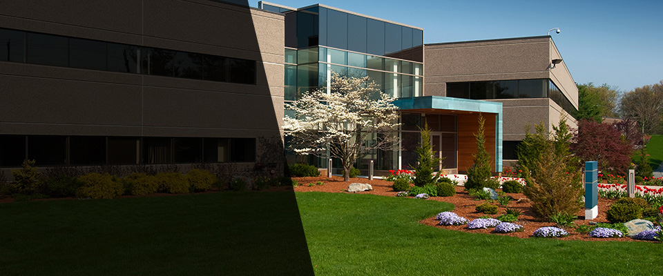 Fremont Landscapers